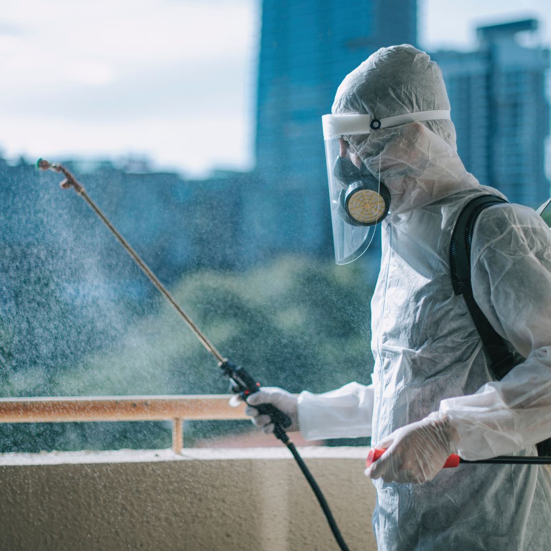 Pest Control